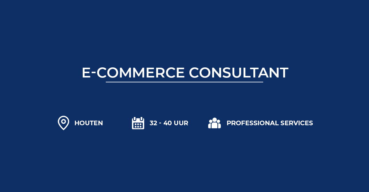 E-commerce Consultant